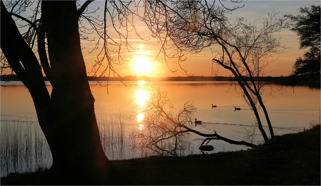 ABENDS AM SEE