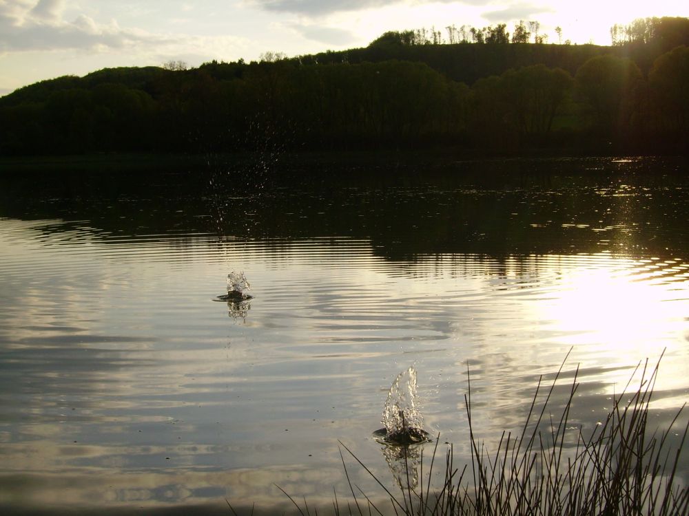 Abends am See