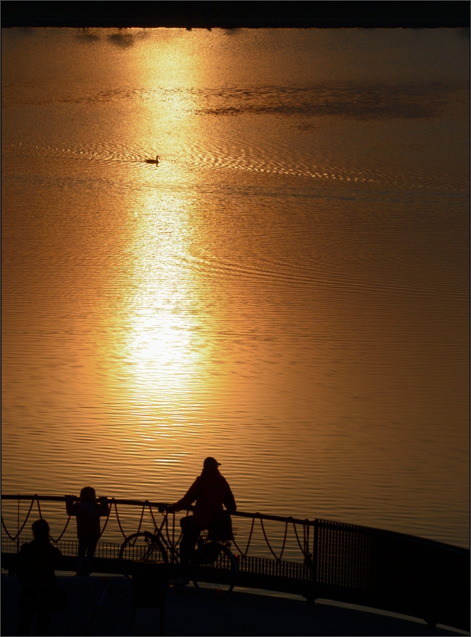 Abends am See ...