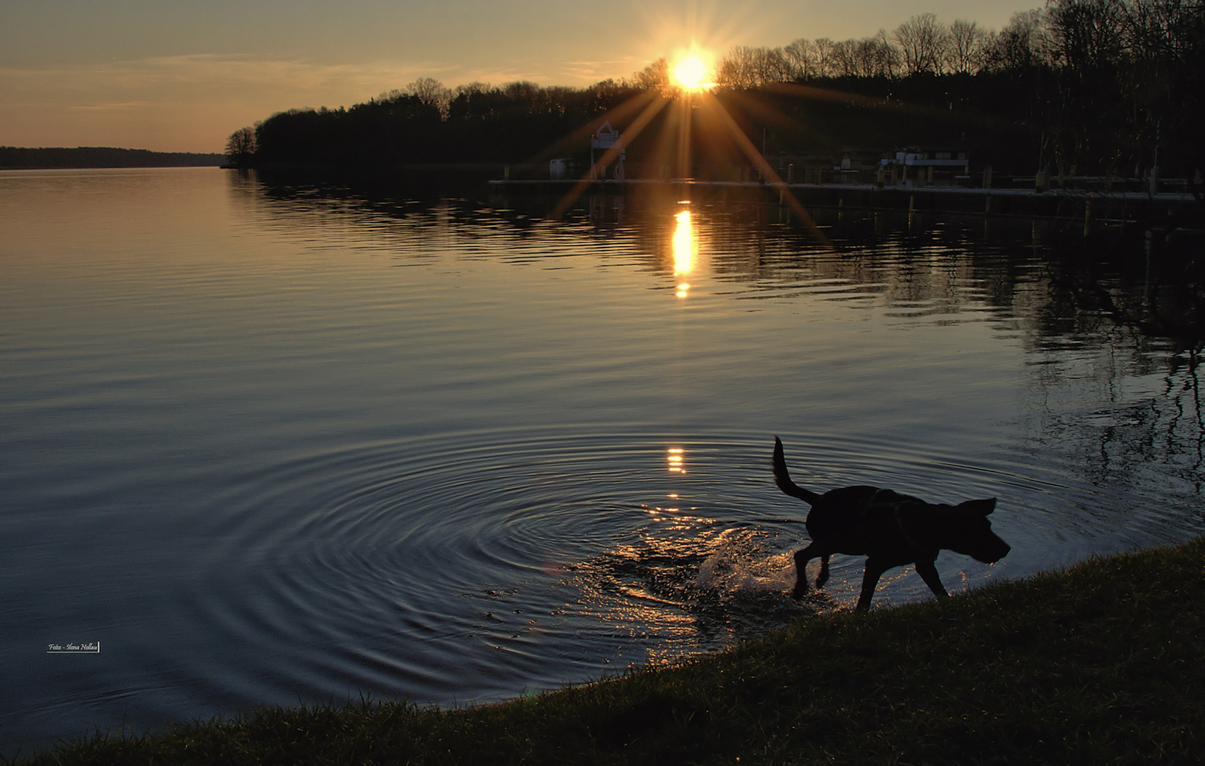 Abends am See