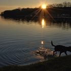 Abends am See