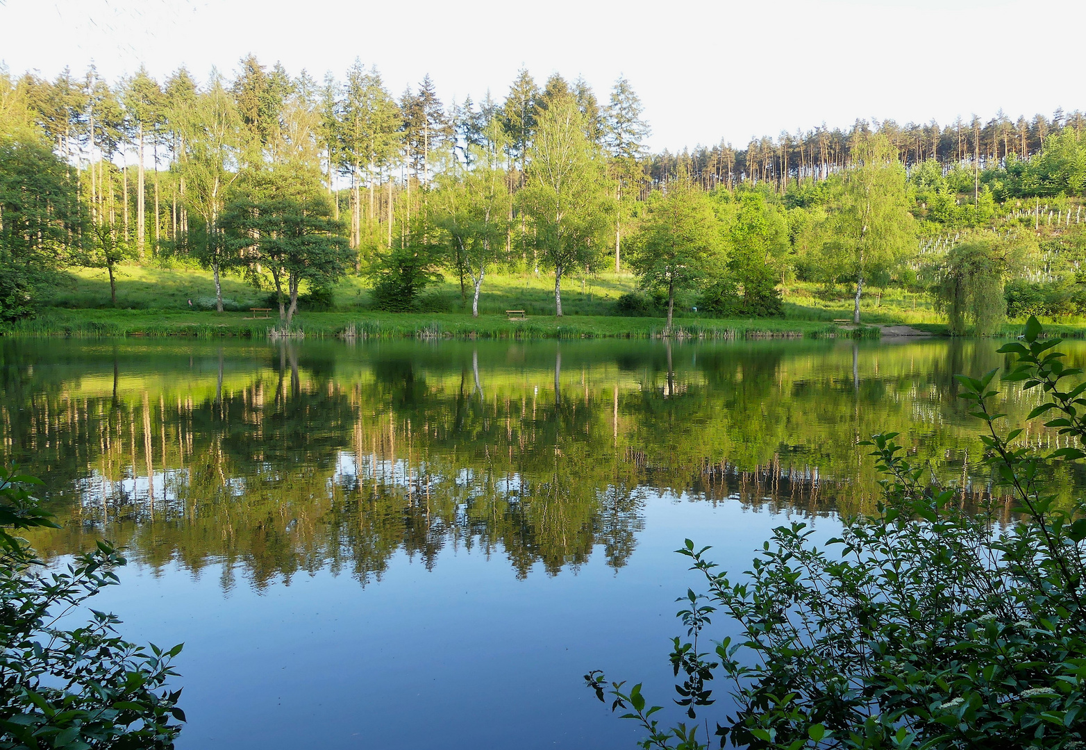 abends am See