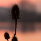 Abends am See