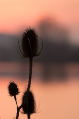 Abends am See