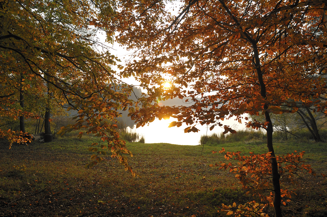 Abends am See