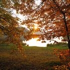 Abends am See