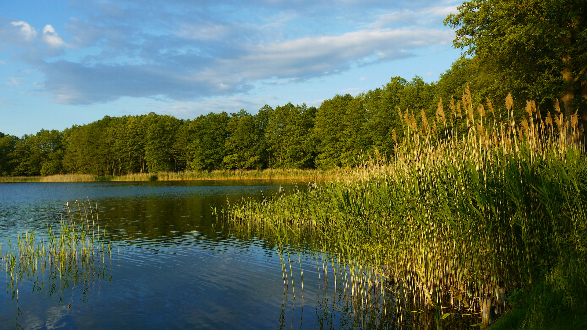 ....abends am See...