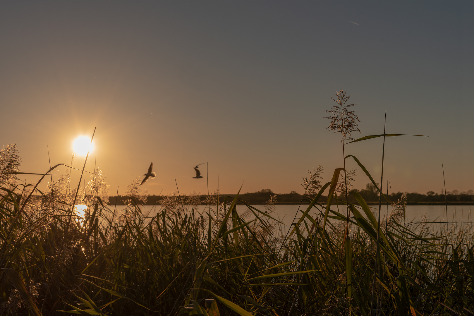 Abends am See