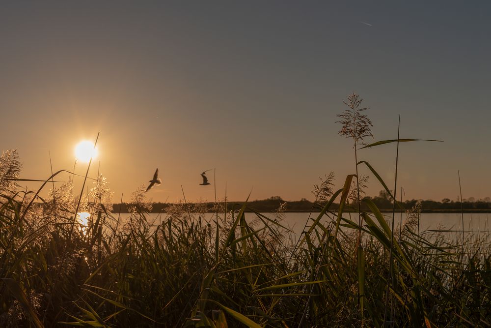 Abends am See