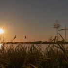 Abends am See