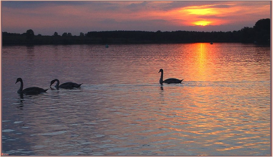 abends am See