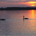 abends am See