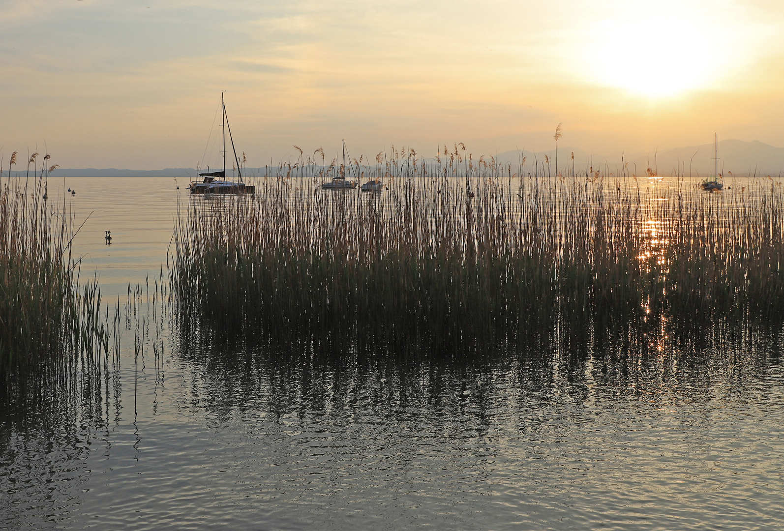 Abends am See in Garda 