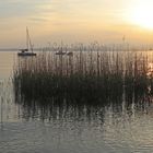 Abends am See in Garda 