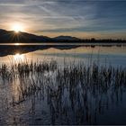 Abends am Staffelsee...