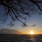 Abends am Starnberger See