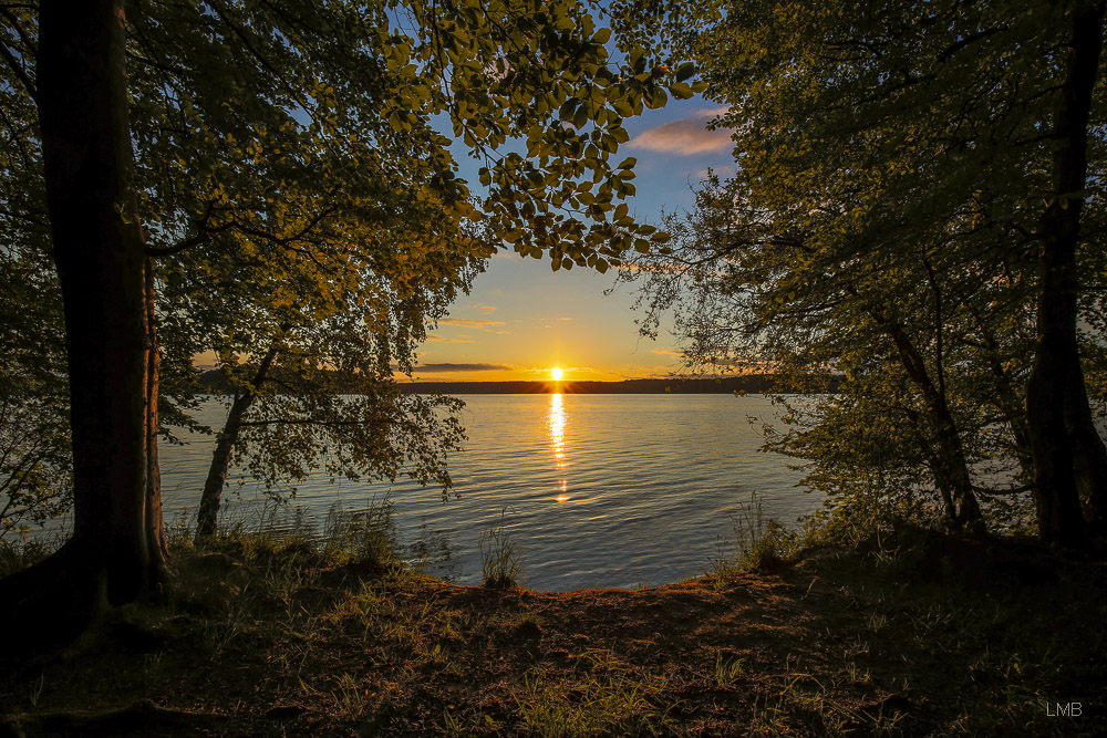 Abends am Stechlin