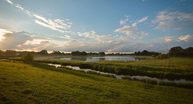 Abends am Steinhorster Becken 2