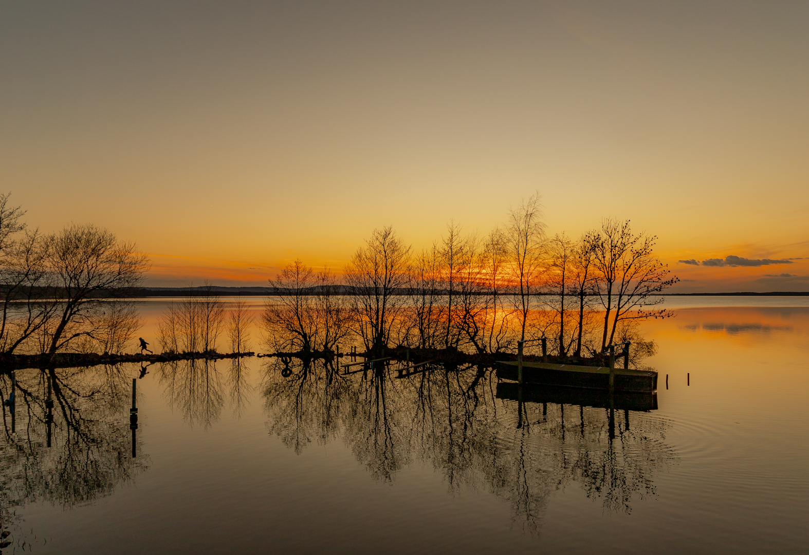 Abends am Steinhuder Meer