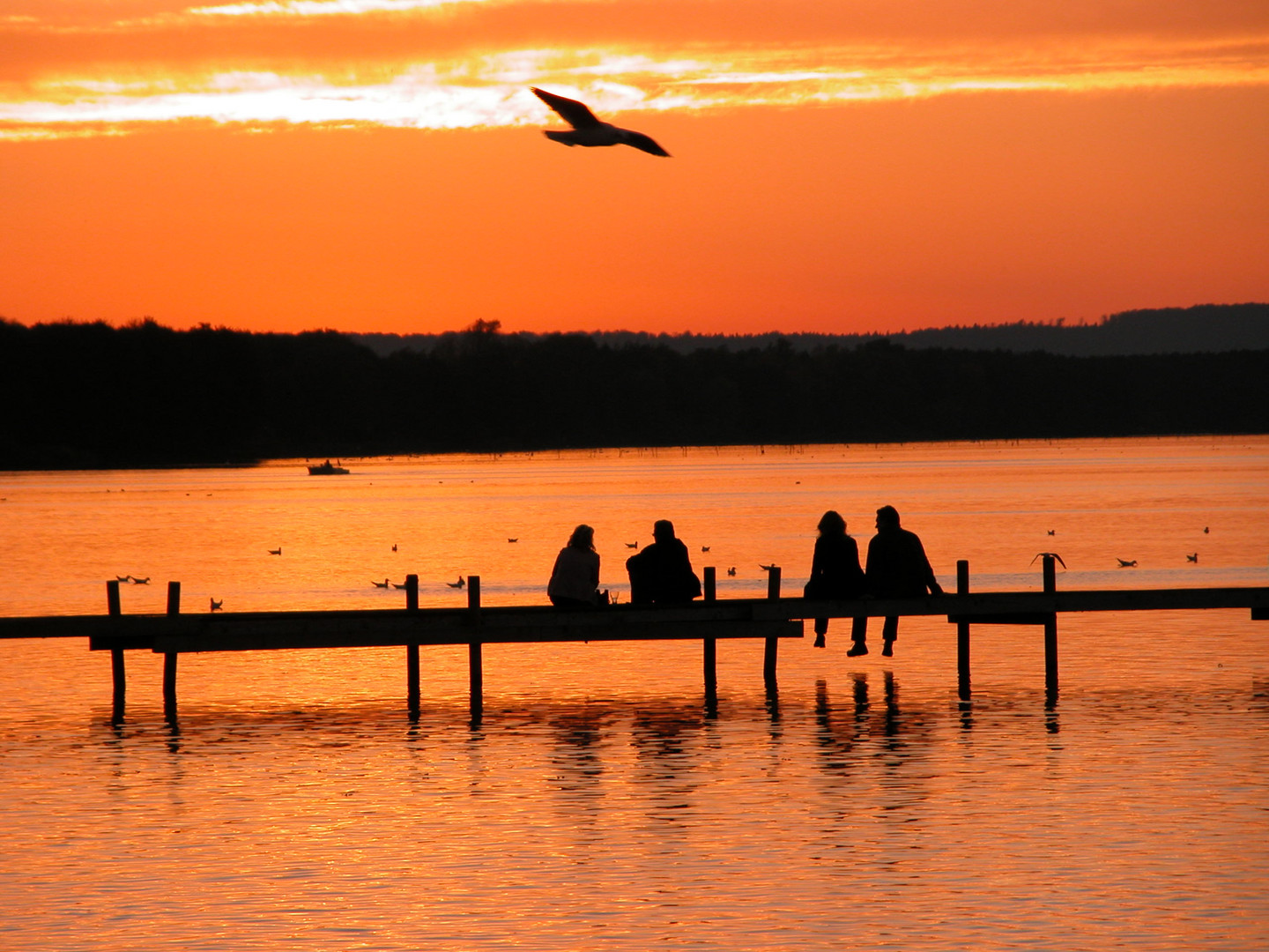 Abends am Steinhuder Meer