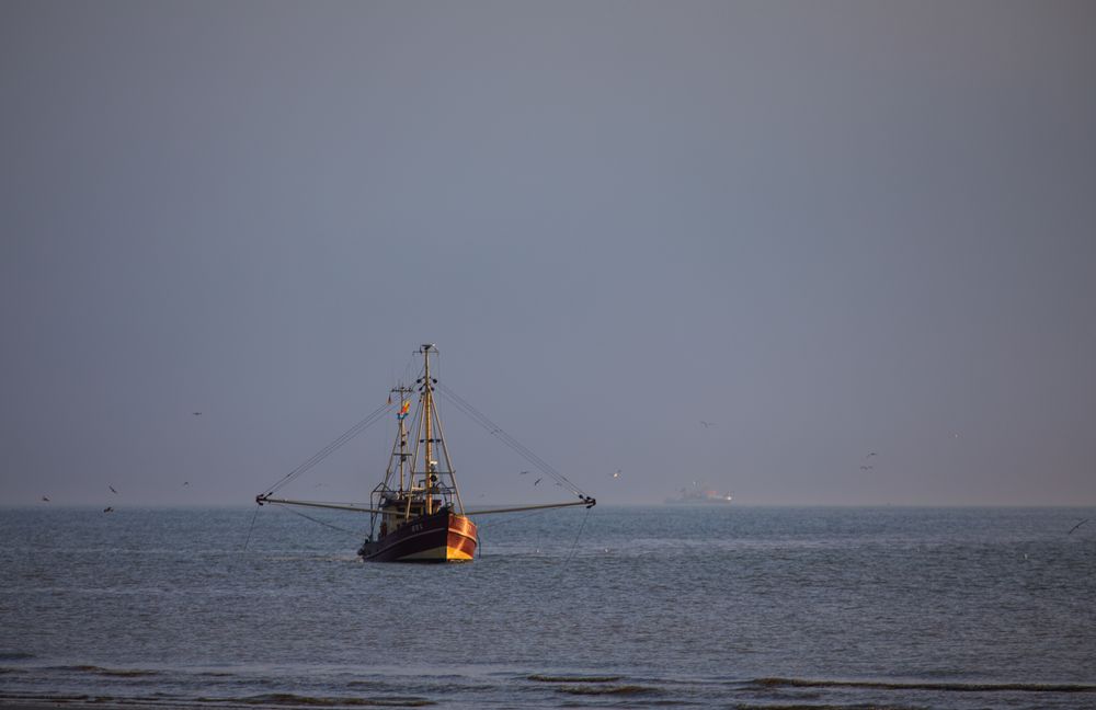  Abends am Strand 