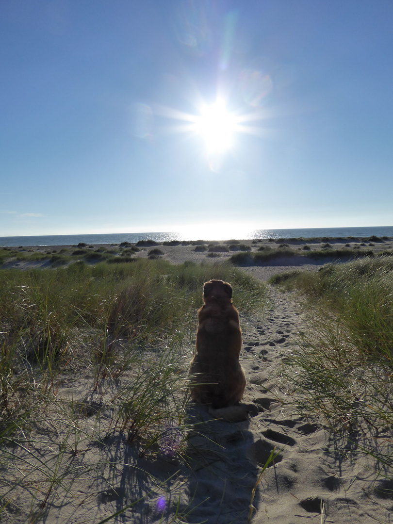 Abends am Strand