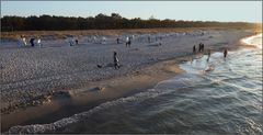 Abends am Strand.