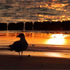 Abends am Strand...