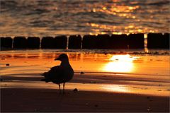 Abends am Strand...