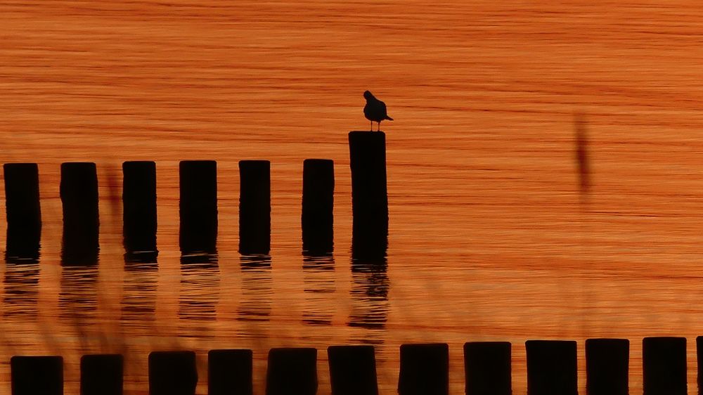 Abends am Strand