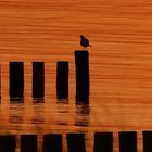 Abends am Strand