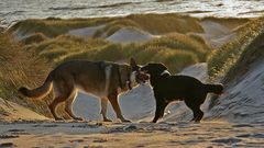 Abends am Strand