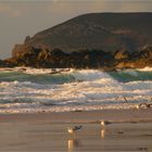 ABENDS AM STRAND