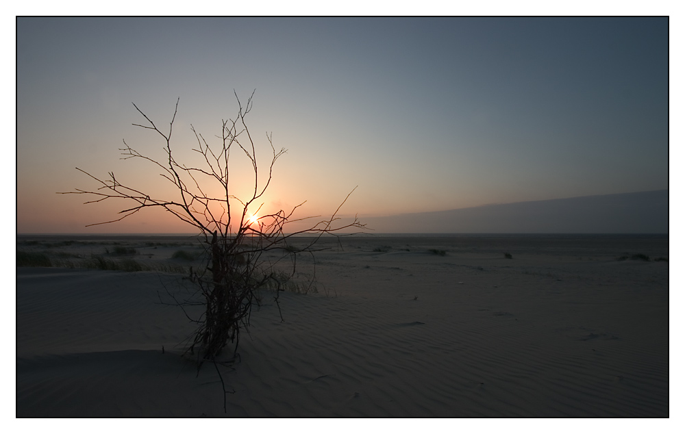 Abends am Strand