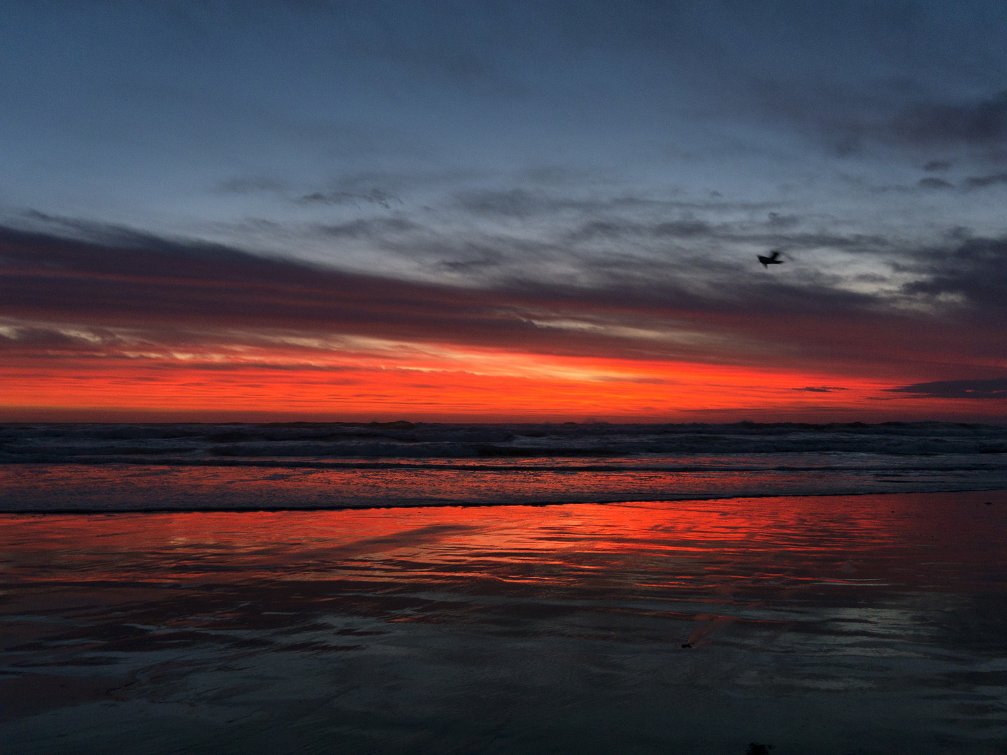 Abends am Strand