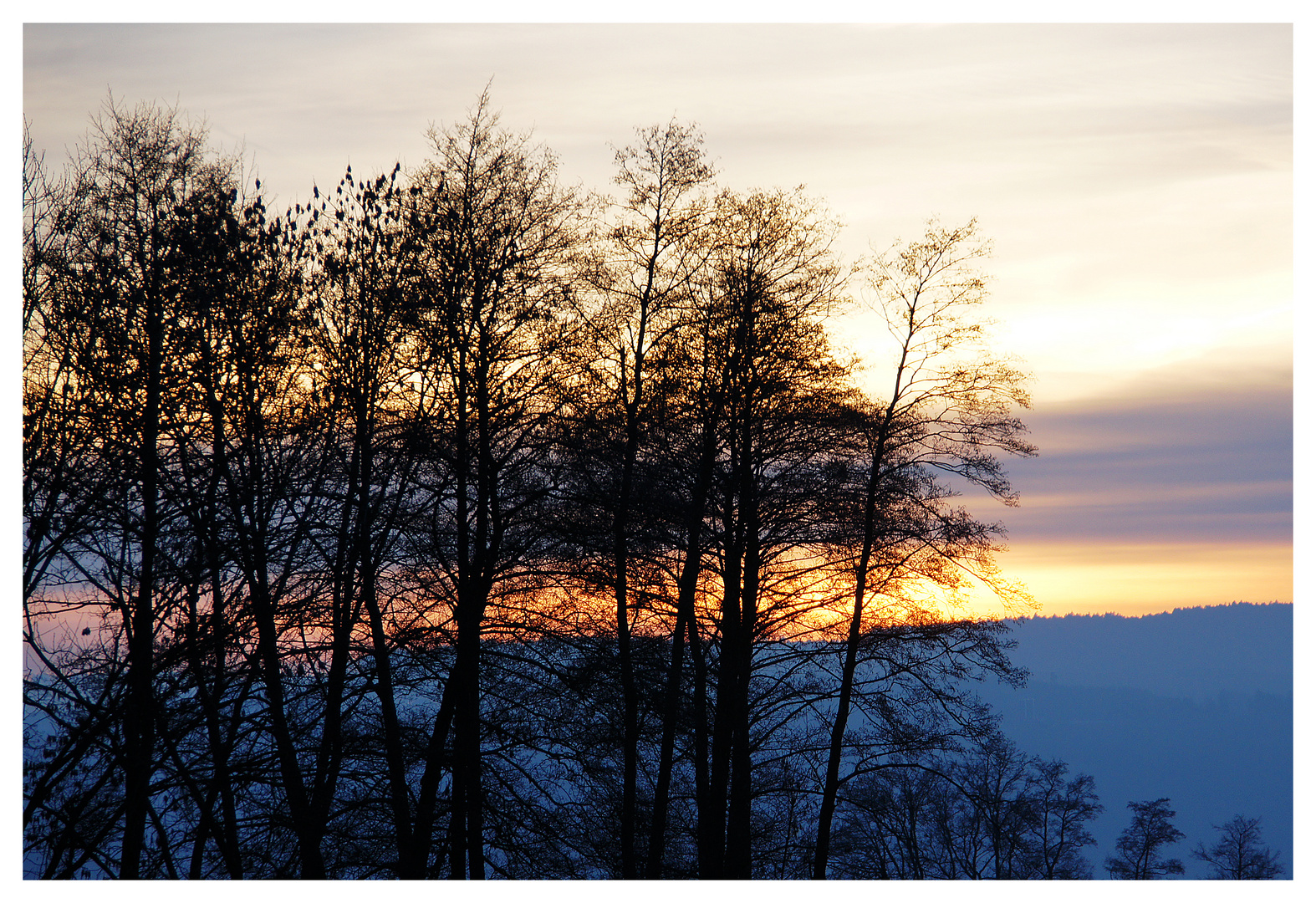 abends am Sunnebuggel