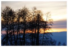 abends am Sunnebuggel