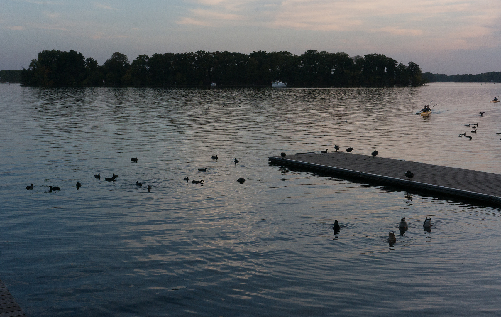 abends am Tegeler See  