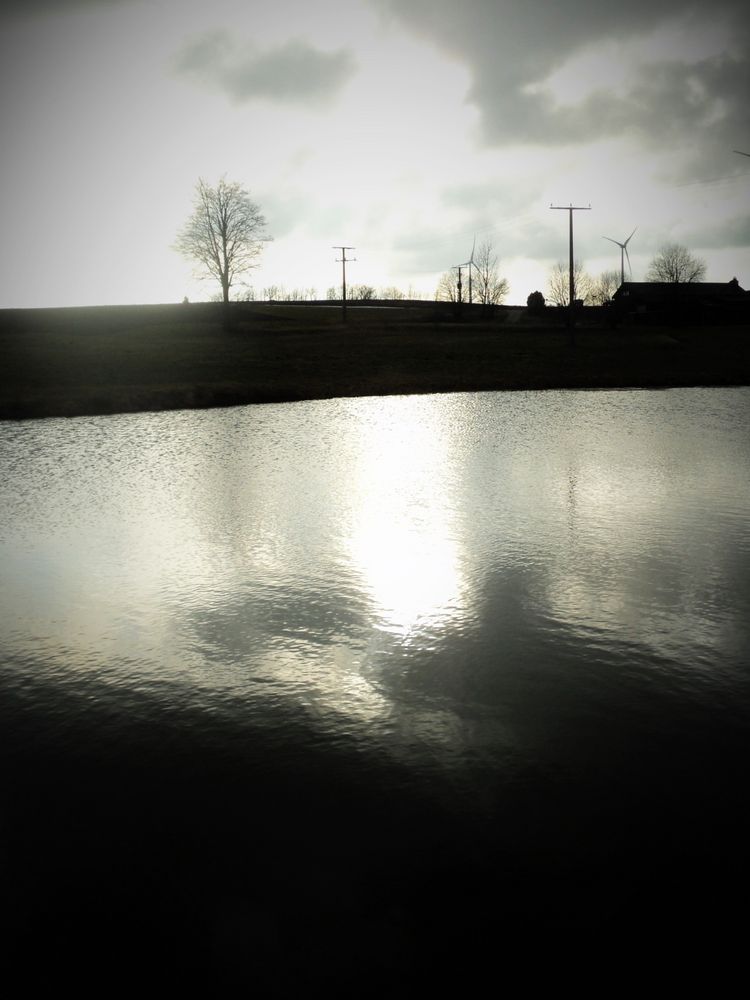 Abends am Teich