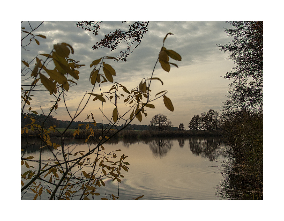 Abends am Teich