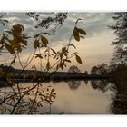 Abends am Teich