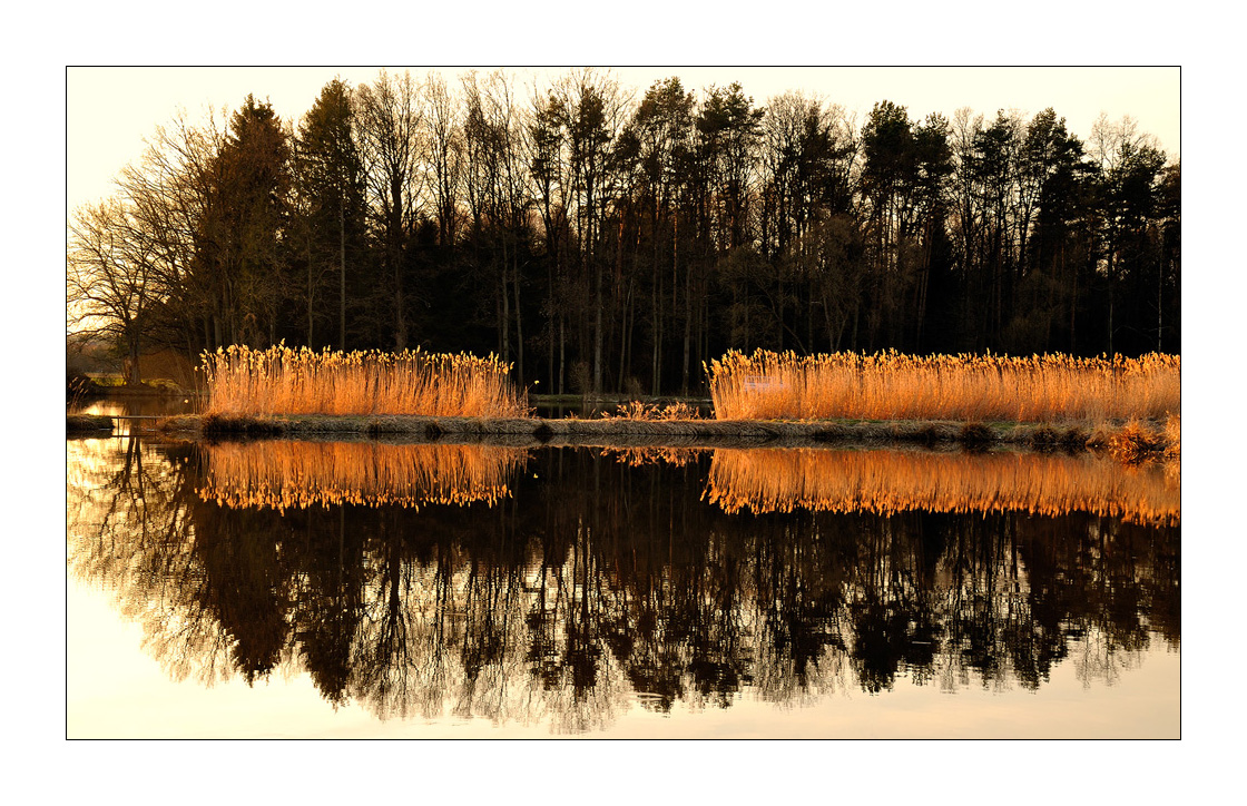 Abends am Teich 2