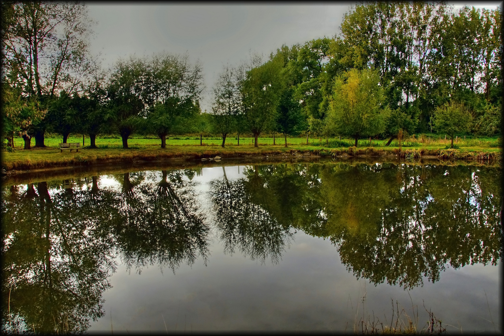 Abends am Teich #2/1