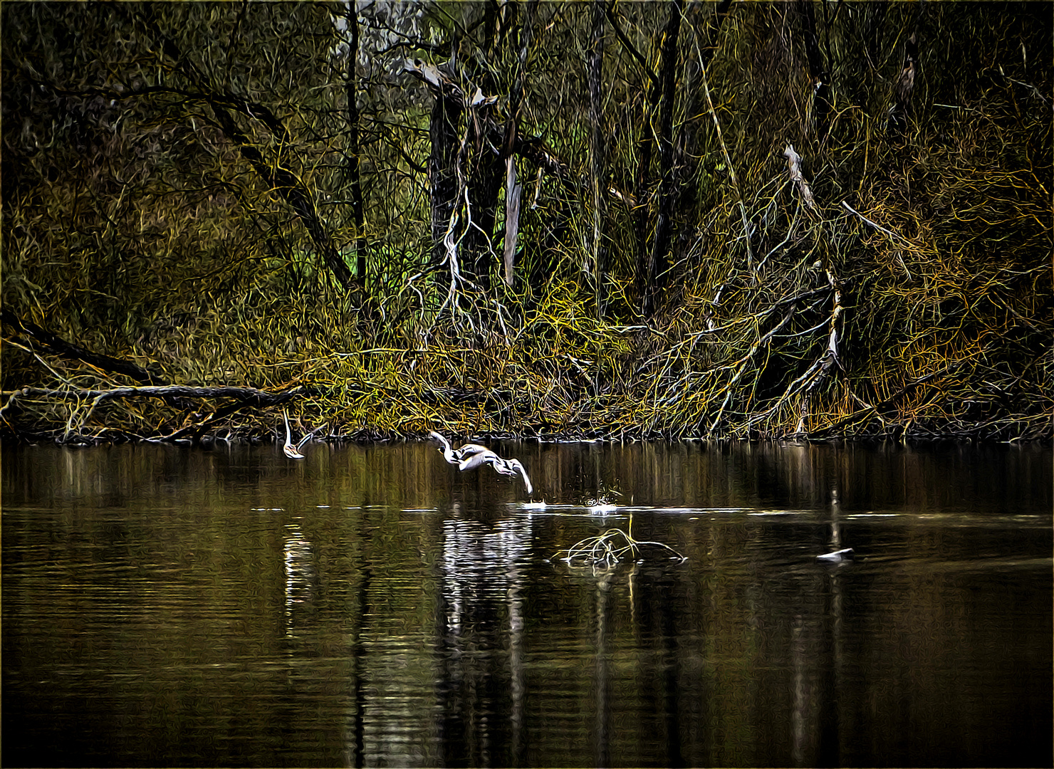 Abends am Teich