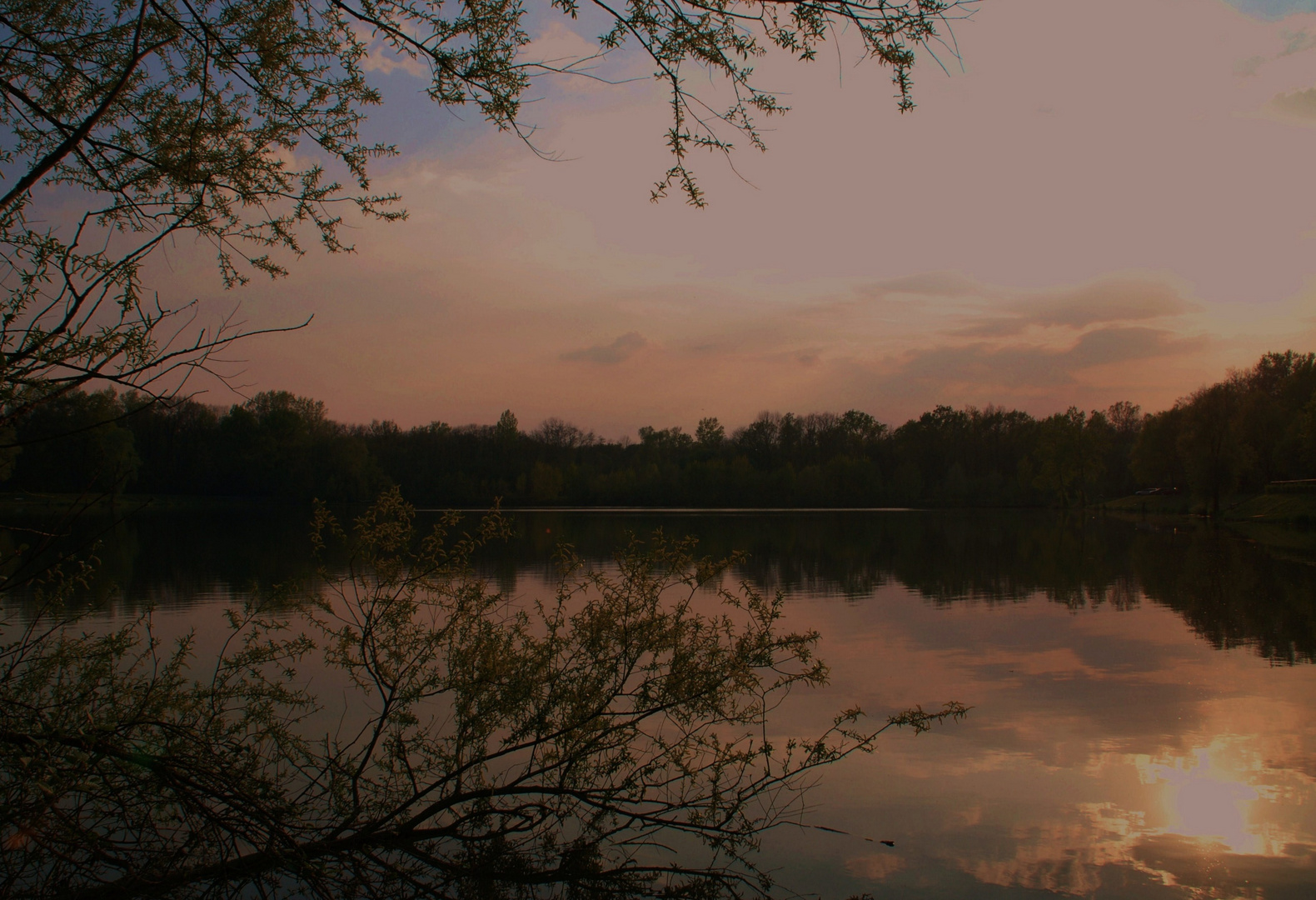 Abend`s am Teich