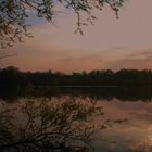 Abend`s am Teich