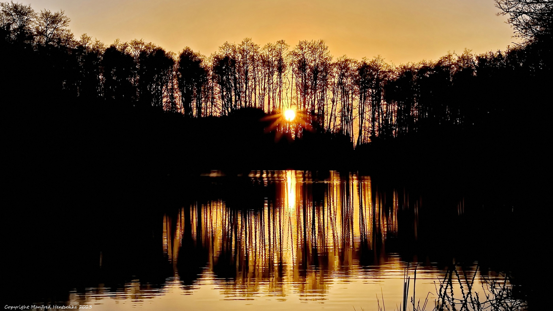 Abends am Teich