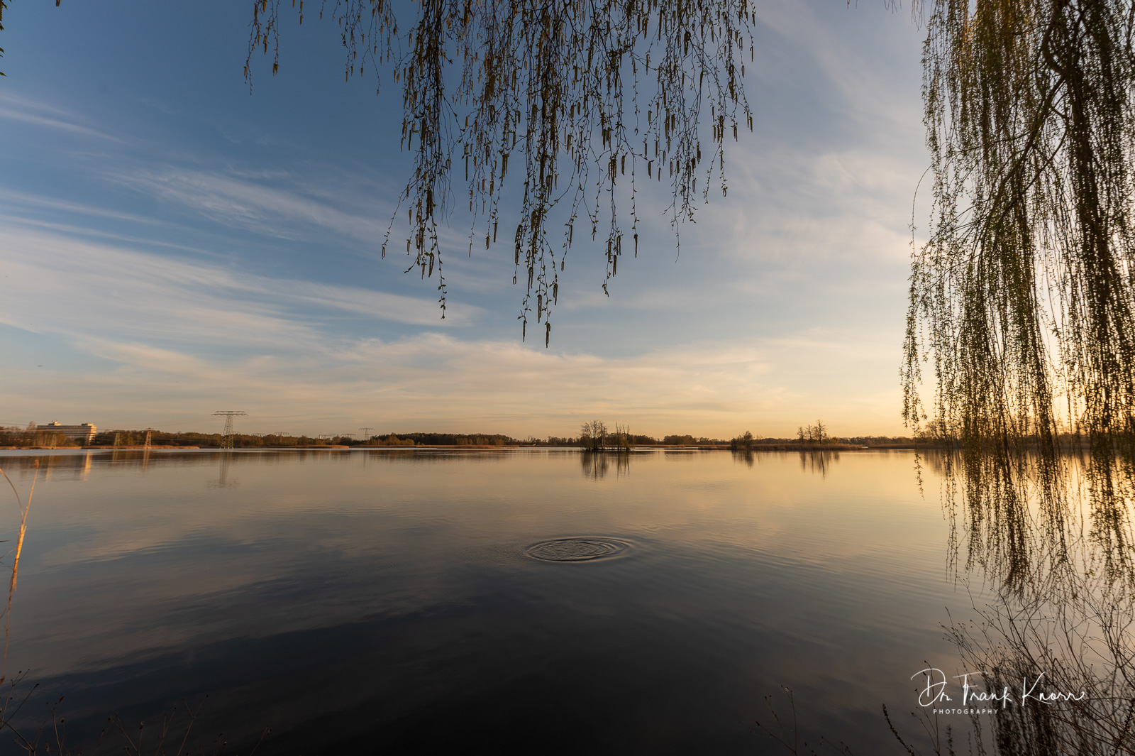 Abends am Teich