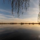 Abends am Teich