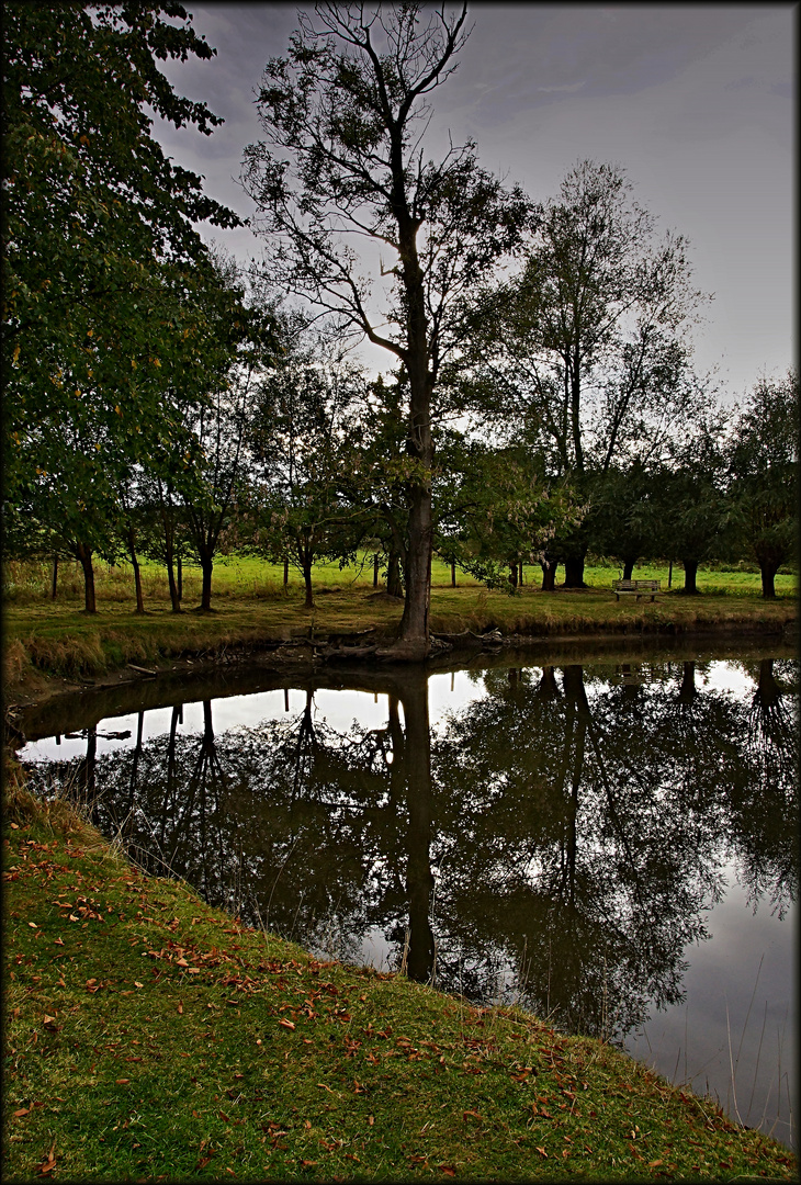 Abends am Teich